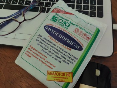 ���������� � ������� �����: ���������� ���� � ����������