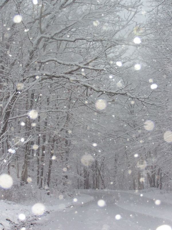 ��������� ��������, ��� ����� � ������ �� ��������, ���� �� ��� �� ����������� �� ��� ����� � ���