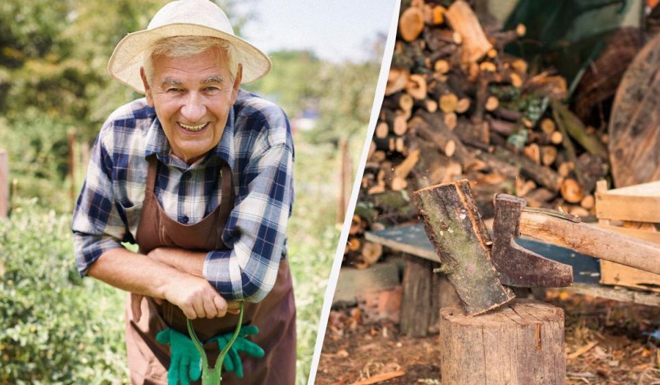 ��� ����������� ������������� ����� ����� �������: ������ ������� ��������