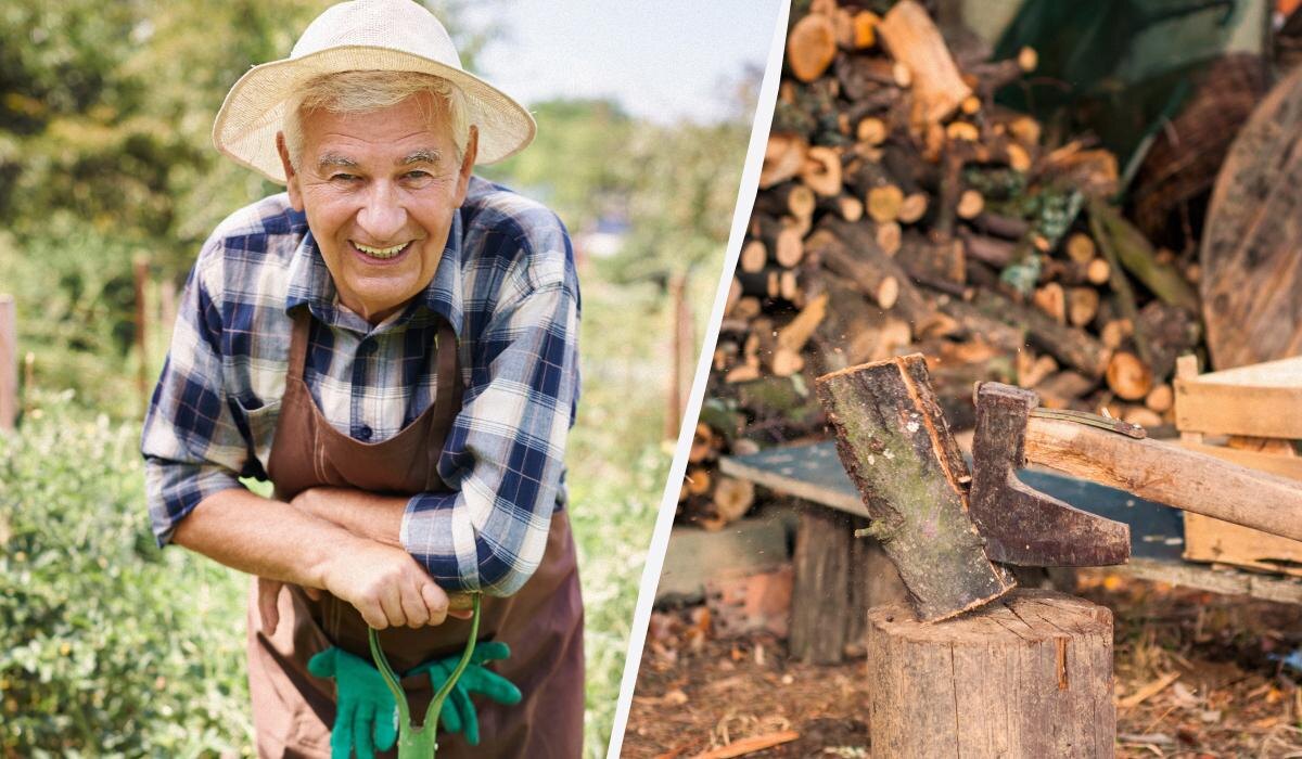 Как рационально утилизировать ветки после обрезки: советы опытных дачников