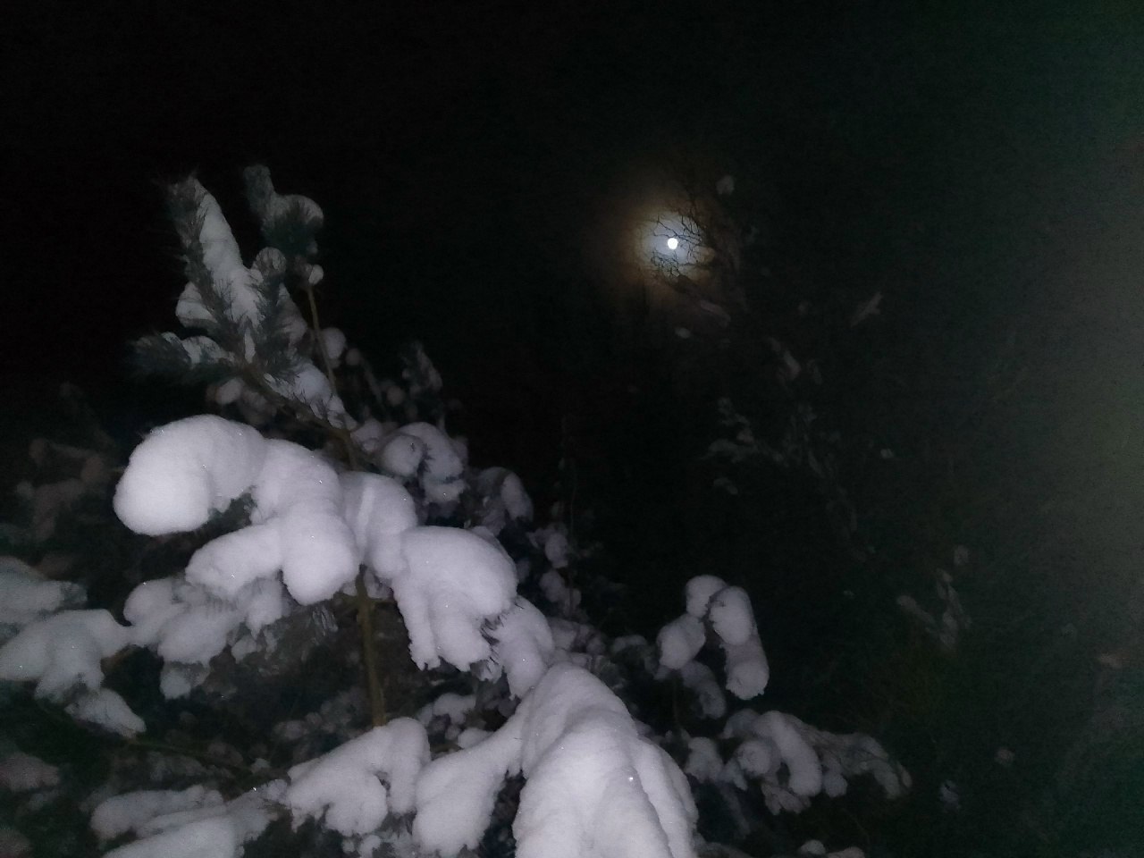 За ночь над Калужской областью сбили 17 беспилотников