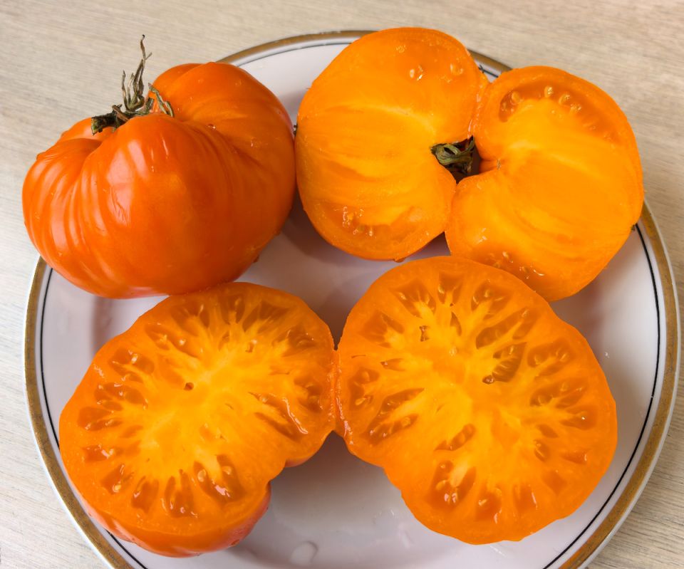 ��� ��������� ������� ��������: ������� ��������� ��������