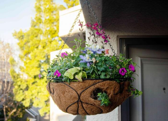 Подвесные клумбы: как добавить зелени в ваш дом