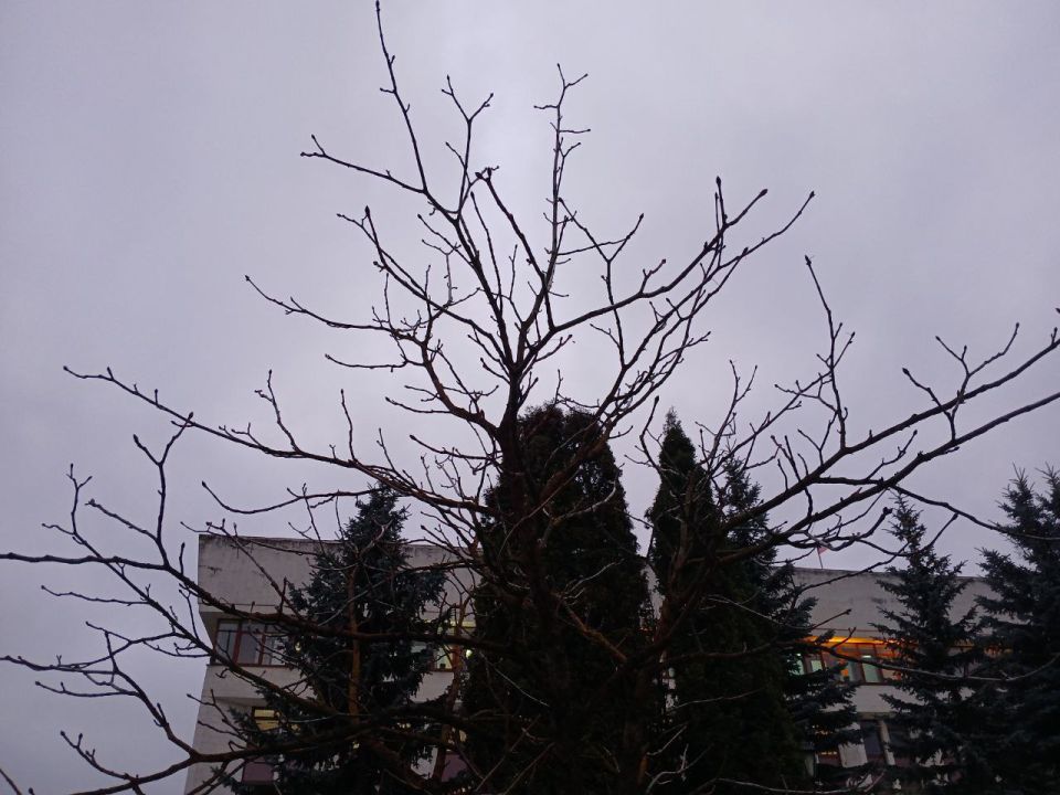 � ��������� ������� �������� ����������� ���������