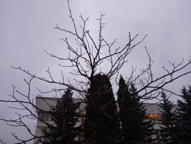 ����������� ��������� �������� � ��������� �������