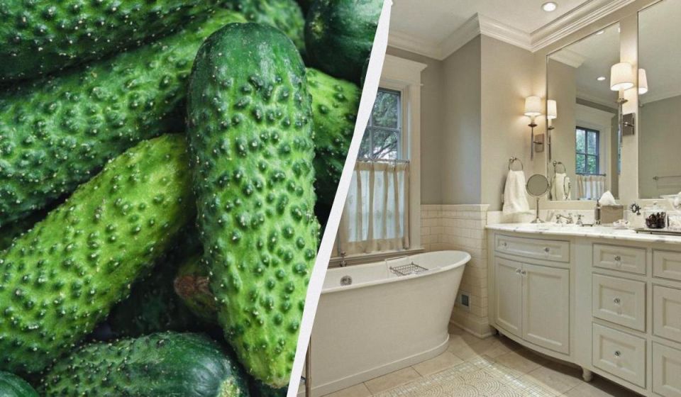 ��������� ������: ��� ������ ����� ������ ���� ������� �� ����