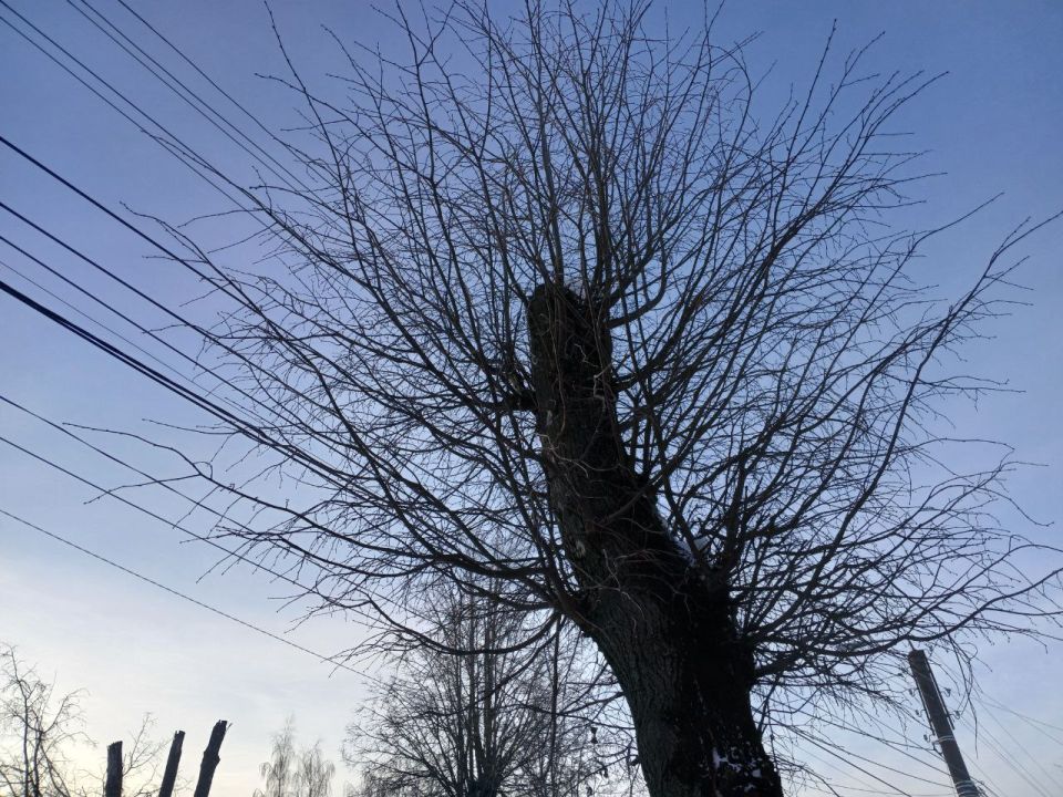 ��� ������� ����� ����� ������: �������� ��������� � ������� ������