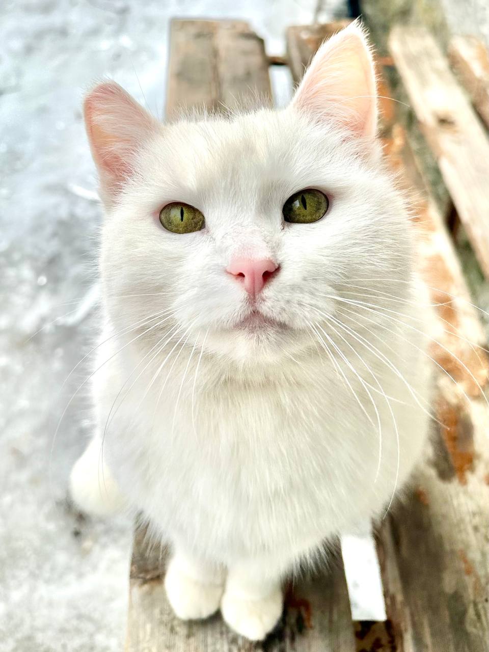 В первый день весны в Калуге потеплеет до +4