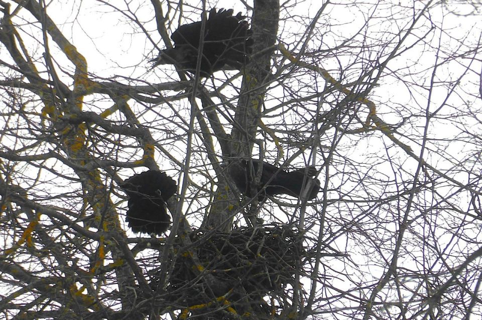 � ������ ��������� �����: ��������� ������� ������ ��������� �����