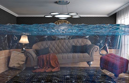 ��� �������� ����� �� ����������� �������� ����� ���������� ��������