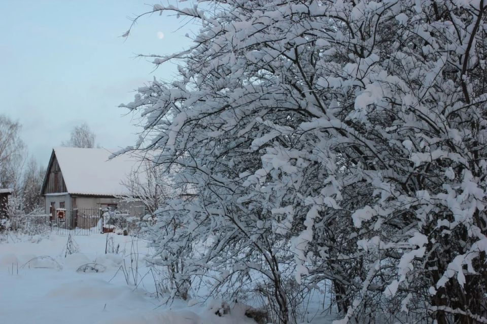 ����������, �� ���������: ��� ������� ����-2026 � ��� ����� �� �����