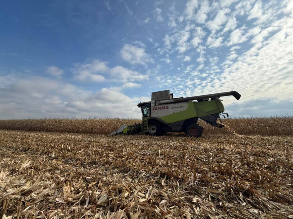 ��������� ������� �� ��� ������ � ������ ����� 20 ����� �������� �������������