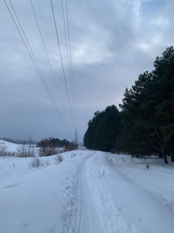 � ������ ����������� �������� �����������