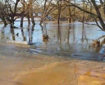 � ��������� ������� ���� �������� ������� � ���������� �����������