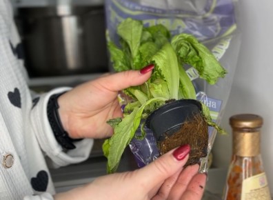 ��� ���������� �� ������: ������� ������ ��� ��������� �����