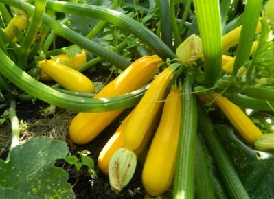 ����� � ����: ��� ��������� ��������� �������