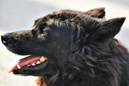 ������� ��������� ������� ��������� �� ������� ��������� �������� � ���������