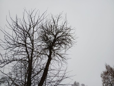 Два беспилотника сбили в Калужской области