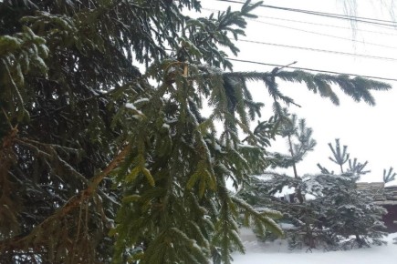 � ��������� ������� ��������� ������� ��������� �������