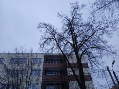 � ��������� ������� ��������� ������������ ������