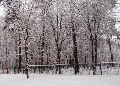 ��������� ������������ � ���������� � ������ ��������� ����