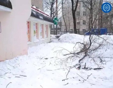 ���������� �������� �������� ������ � �����