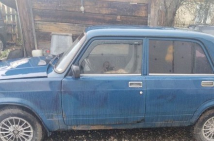 ������ ��������� ������� ������� ������� �� ���� ��� ����