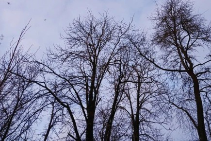 ����� ���������, ��� � ��������� ������� ����� ����