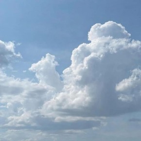 � ��������� ������� ����� ��� 5 �������������