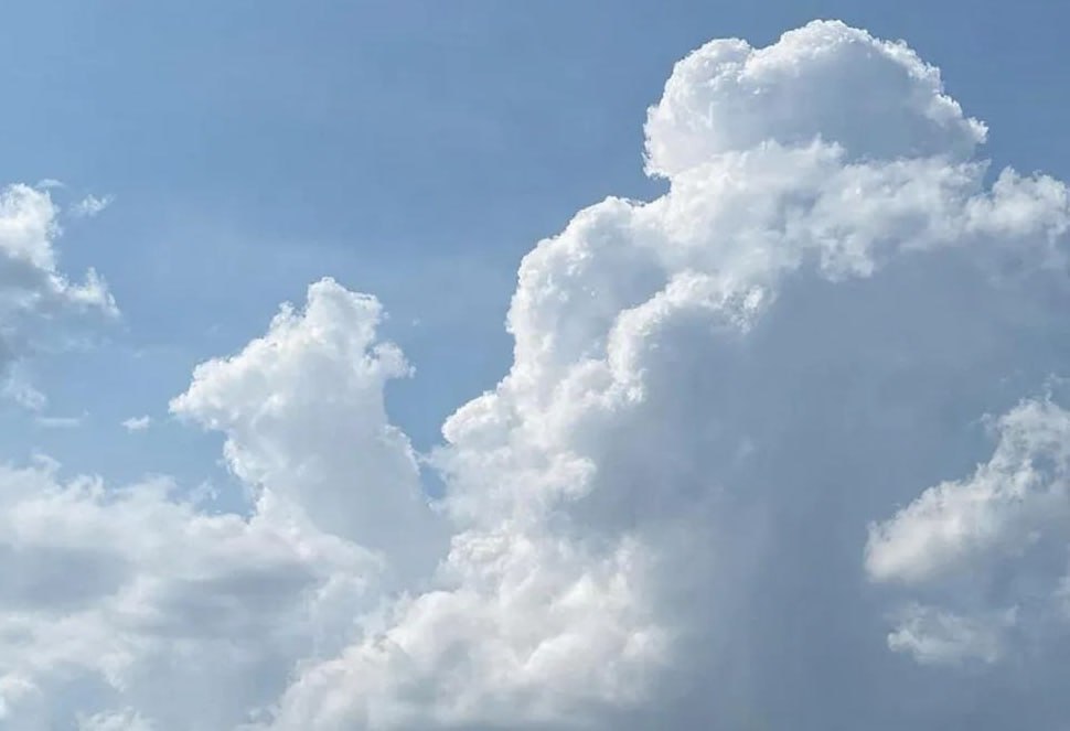 Ночью в понедельник, 9 марта, силы ПВО уничтожили 11 БПЛА над территорией Калужской области