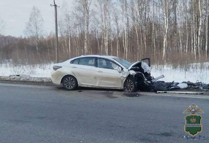 Госавтоинспекторы работают на месте смертельного ДТП в Ферзиковском районе Госавтоинспекторы работают на месте смертельного ДТП в Ферзиковском районе