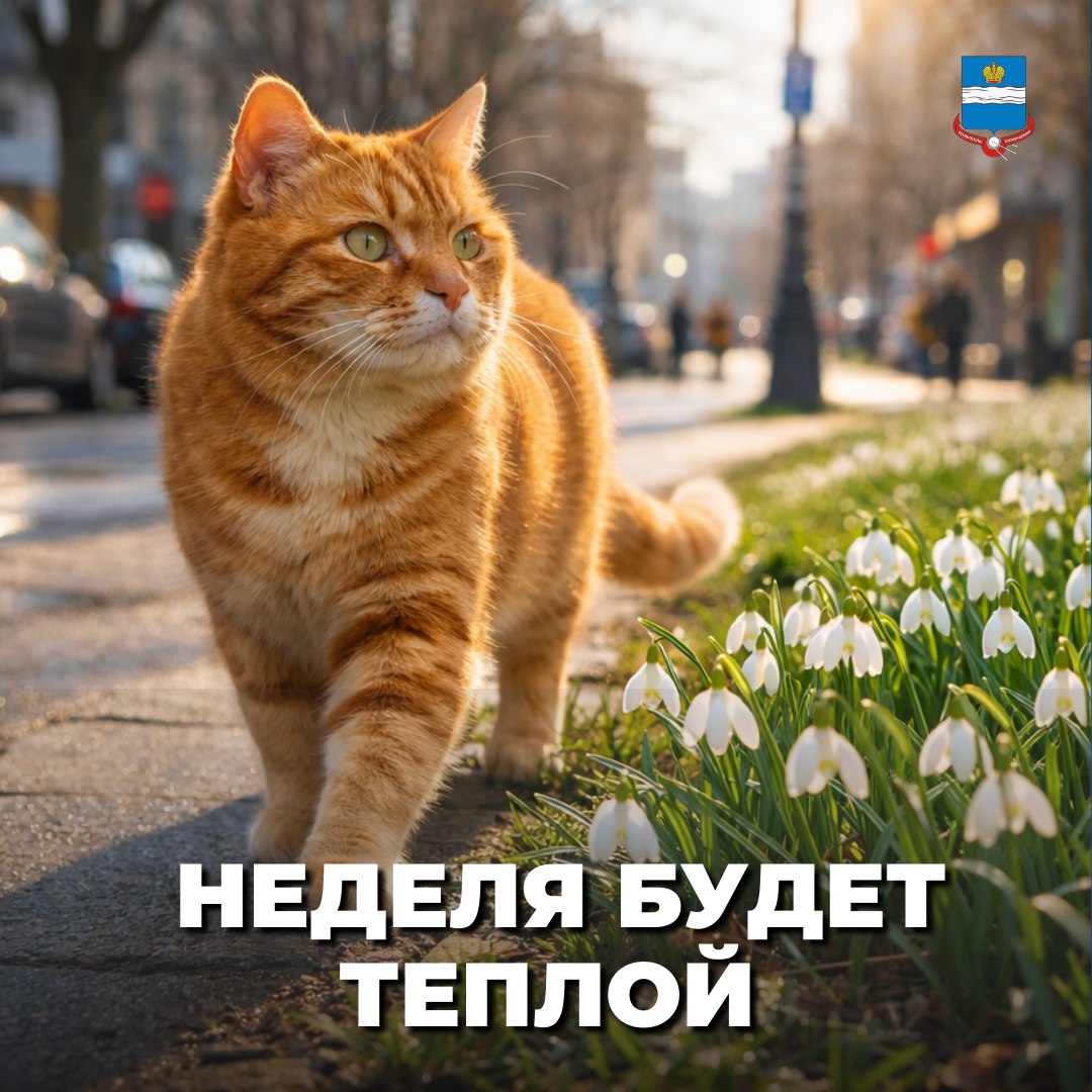 По прогнозам синоптиков эта неделя ожидается по-настоящему весенняя