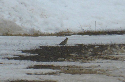 ��������� ��������� ��������� ������ ���������� � ������������� ������