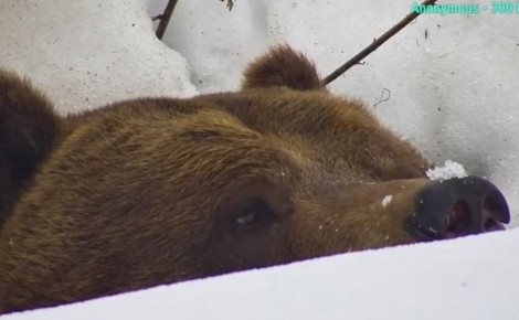 ��������� ������� ������ ��������� ����� ������ ������ � ����� ������� ������