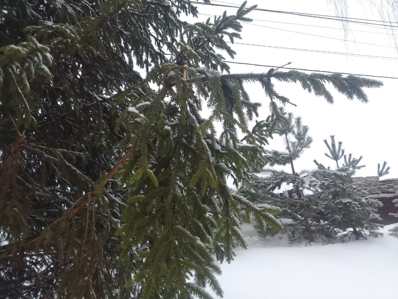 В Калугу пришла метеорологическая весна: вторник порадует теплом и солнцем