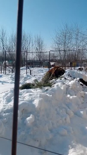 ��������� ��������� ���� ������� ������ ��� ����� �� ����� ����� ������ ������