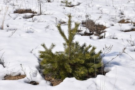 � ������ 10 ����� ����� ����� ����� ���� � ������ ����