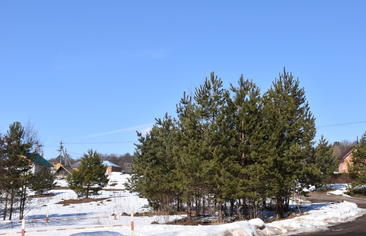 Тёплый четверг порадует калужан солнцем