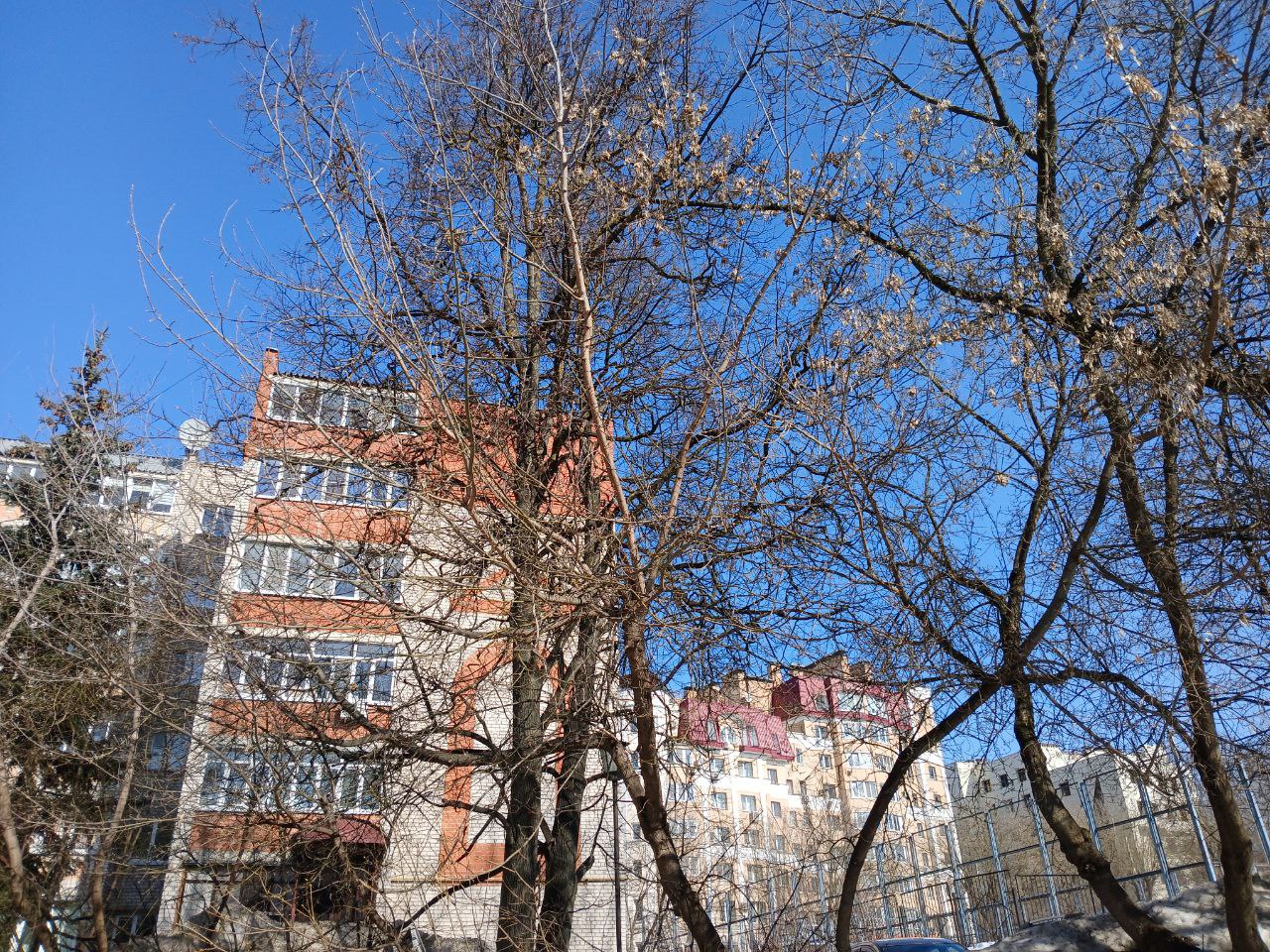 В Калужской области 12 марта сохранится солнечная и тёплая погода