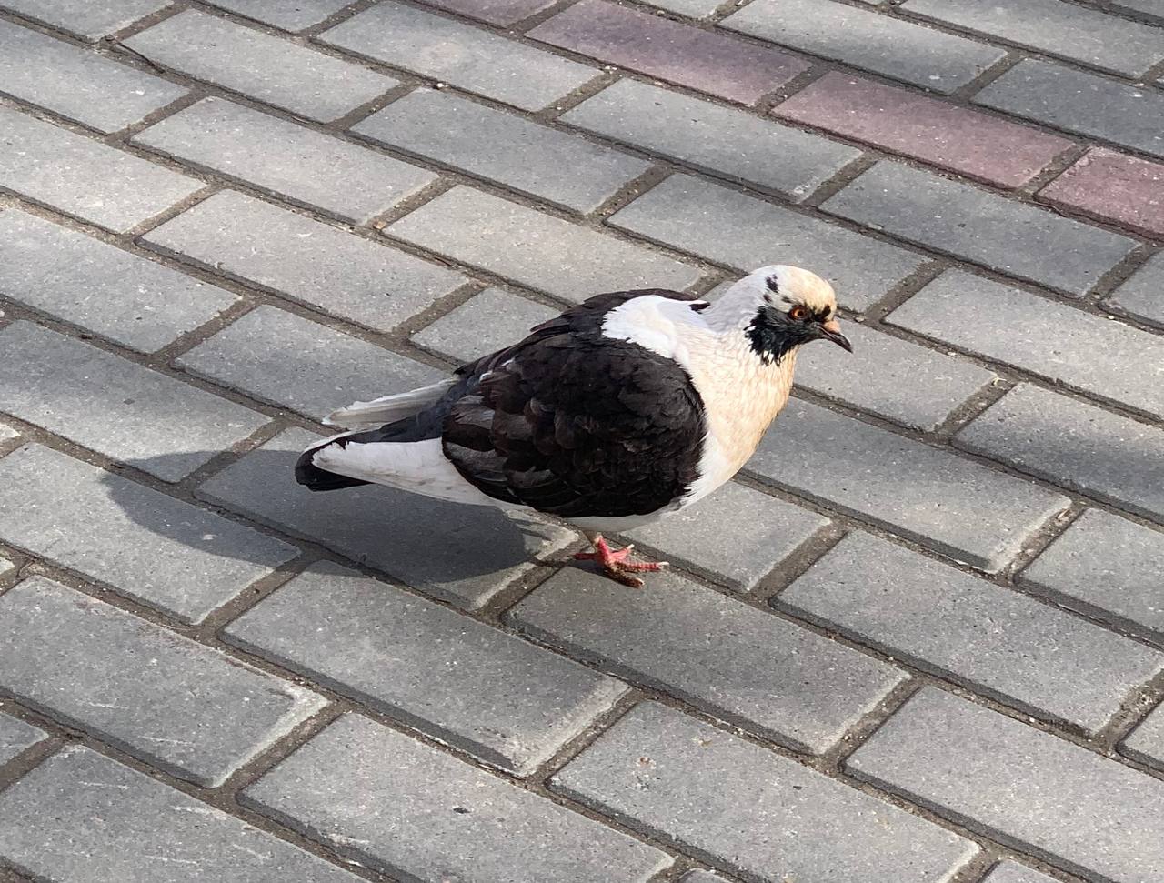 Теплая весенняя погода продолжает радовать калужан