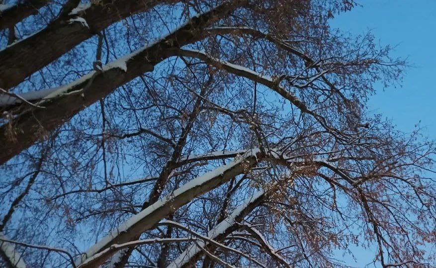 В Калужской области ночью уничтожили два БПЛА