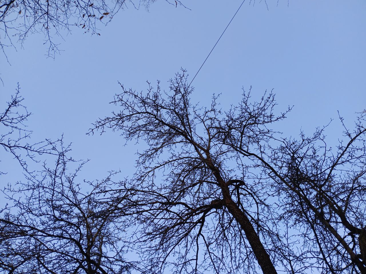 Два беспилотника сбили в Калужской области