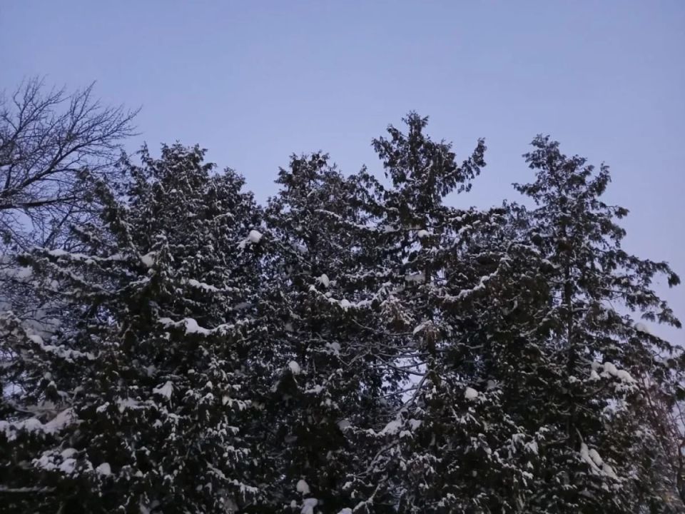 ��������� �������� ��� �������������� �����������