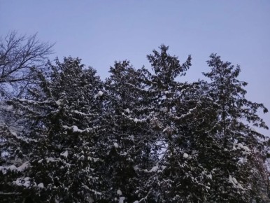 ��������� �������� ��� �������������� �����������