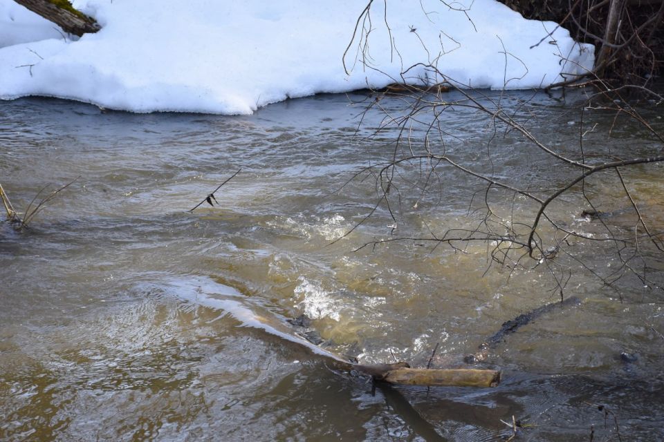 ������ ��� ��������� ��������� ����� ����������� �� �����