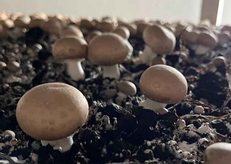 ��������� ������� ���������� 10% ���� ����������� � ������