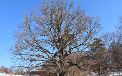 Выходные в Калужской области порадуют теплом и солнцем