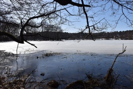 ������� ���� ����: ��� ������������ ������� ������� � ��������� �������