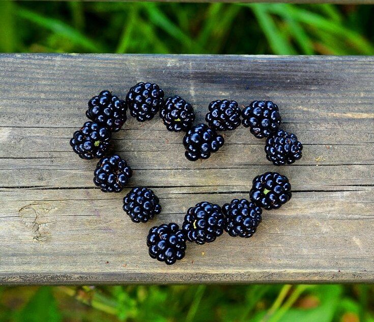 ������ ����� �������� ������� � ����� ����