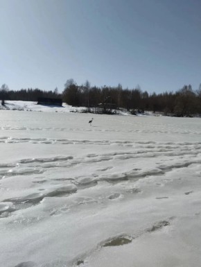 � ��������� ������� �������� ������� ������������ ������ �����